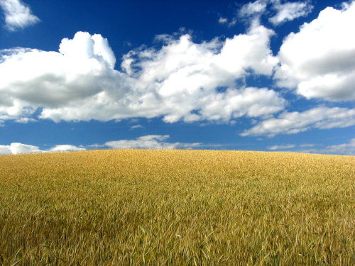 Rispetto della Natura